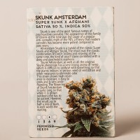 Насіння конопель Skunk Amsterdam