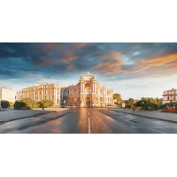 Купить семена конопли в Одессе