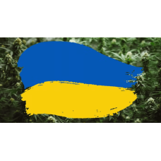 How cannabis helps some Ukrainians survive the wa