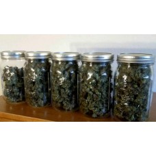 Невибагливі сорти марихуани: топ-3 насіння, які рекомендуються новачкам
