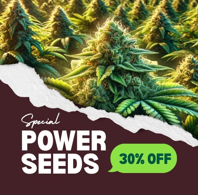 Power-Seeds